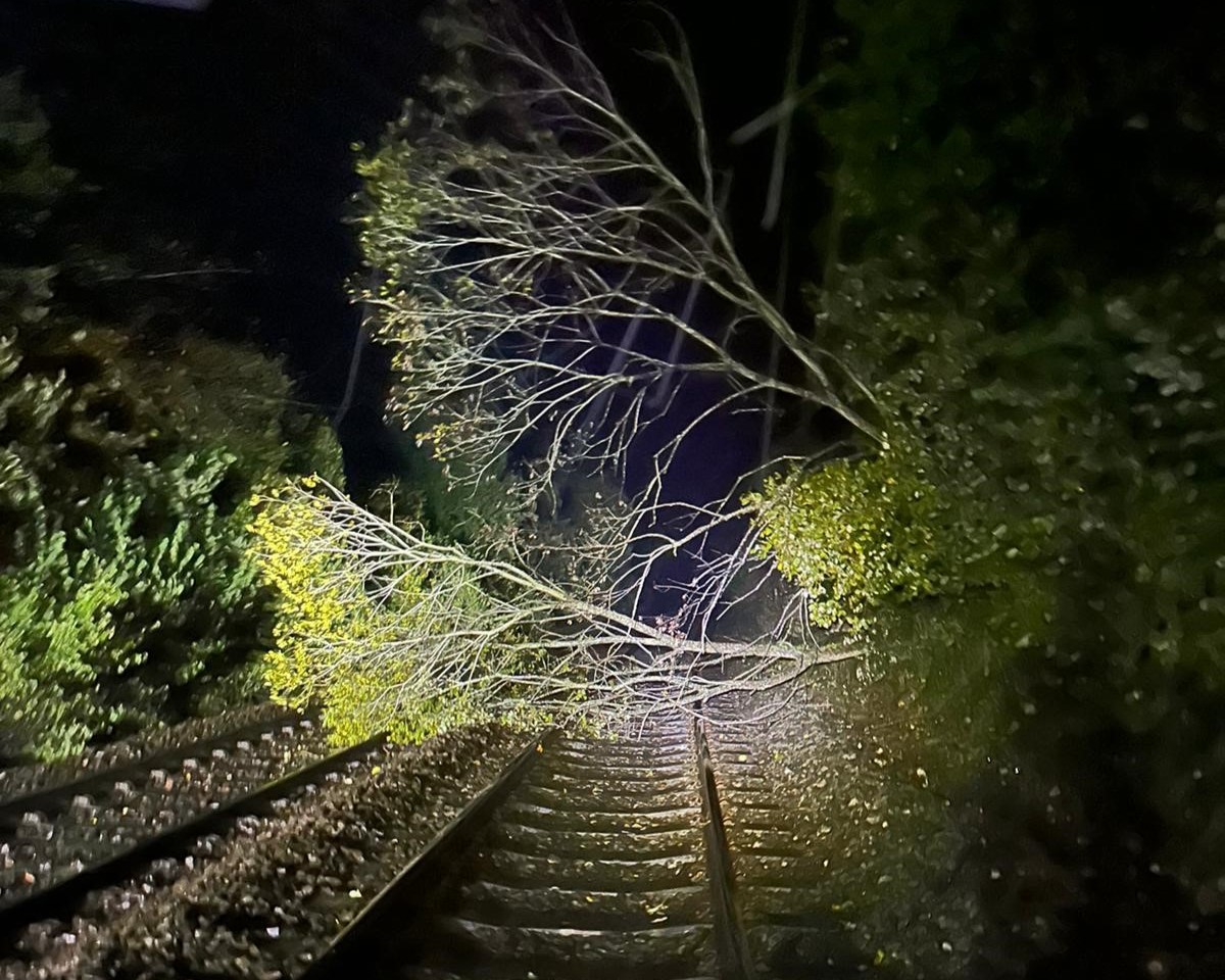 Wind and storms have blown trees down blocking the railway
